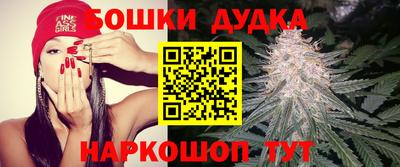 ECSTASY Будённовск