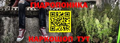 ECSTASY Будённовск
